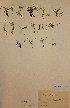  ( - H570947)  @11 [ ] Unspecified (default): All Rights Reserved  Unspecified Unspecified