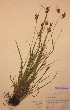  ( - H572928)  @11 [ ] Unspecified (default): All Rights Reserved  Unspecified Unspecified