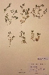  ( - H573234)  @11 [ ] Unspecified (default): All Rights Reserved  Unspecified Unspecified