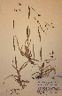  ( - H574912)  @11 [ ] Unspecified (default): All Rights Reserved  Unspecified Unspecified