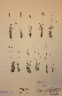  ( - H574937)  @11 [ ] Unspecified (default): All Rights Reserved  Unspecified Unspecified