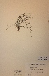  ( - H577166)  @11 [ ] Unspecified (default): All Rights Reserved  Unspecified Unspecified