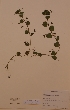  ( - H579022)  @11 [ ] Unspecified (default): All Rights Reserved  Unspecified Unspecified