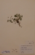  ( - H587430)  @11 [ ] Unspecified (default): All Rights Reserved  Unspecified Unspecified