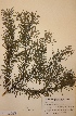  ( - H589102)  @11 [ ] Unspecified (default): All Rights Reserved  Unspecified Unspecified