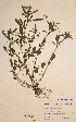  ( - H591231)  @11 [ ] Unspecified (default): All Rights Reserved  Unspecified Unspecified