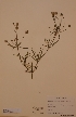  ( - H591802)  @11 [ ] Unspecified (default): All Rights Reserved  Unspecified Unspecified
