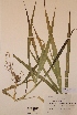  ( - H596709)  @11 [ ] Unspecified (default): All Rights Reserved  Unspecified Unspecified