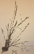 ( - H596715)  @11 [ ] Unspecified (default): All Rights Reserved  Unspecified Unspecified