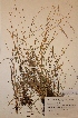  ( - H596722)  @11 [ ] Unspecified (default): All Rights Reserved  Unspecified Unspecified