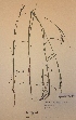  ( - H597371)  @11 [ ] Unspecified (default): All Rights Reserved  Unspecified Unspecified