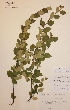  ( - H602043)  @11 [ ] Unspecified (default): All Rights Reserved  Unspecified Unspecified