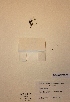  ( - H608061)  @11 [ ] Unspecified (default): All Rights Reserved  Unspecified Unspecified