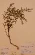  ( - H611525)  @11 [ ] Unspecified (default): All Rights Reserved  Unspecified Unspecified
