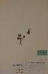  ( - H611530)  @11 [ ] Unspecified (default): All Rights Reserved  Unspecified Unspecified