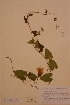  ( - H614493)  @11 [ ] Unspecified (default): All Rights Reserved  Unspecified Unspecified