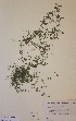  ( - H616484)  @11 [ ] Unspecified (default): All Rights Reserved  Unspecified Unspecified