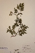  ( - H617444)  @11 [ ] Unspecified (default): All Rights Reserved  Unspecified Unspecified