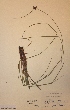  ( - H617861)  @11 [ ] Unspecified (default): All Rights Reserved  Unspecified Unspecified