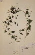  ( - H618429)  @11 [ ] Unspecified (default): All Rights Reserved  Unspecified Unspecified