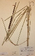  ( - H618960)  @11 [ ] Unspecified (default): All Rights Reserved  Unspecified Unspecified