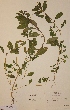  ( - H620745)  @11 [ ] Unspecified (default): All Rights Reserved  Unspecified Unspecified