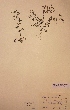  ( - H621165)  @11 [ ] Unspecified (default): All Rights Reserved  Unspecified Unspecified