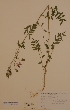  ( - H621995)  @11 [ ] Unspecified (default): All Rights Reserved  Unspecified Unspecified