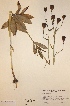  ( - H623304)  @11 [ ] Unspecified (default): All Rights Reserved  Unspecified Unspecified