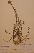  ( - H623532)  @11 [ ] Unspecified (default): All Rights Reserved  Unspecified Unspecified