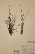  ( - H630133)  @11 [ ] Unspecified (default): All Rights Reserved  Unspecified Unspecified