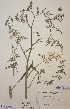  ( - H633153)  @11 [ ] Unspecified (default): All Rights Reserved  Unspecified Unspecified