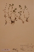  ( - H634382)  @11 [ ] Unspecified (default): All Rights Reserved  Unspecified Unspecified