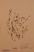  ( - H634491)  @11 [ ] Unspecified (default): All Rights Reserved  Unspecified Unspecified