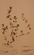  ( - H646734)  @11 [ ] Unspecified (default): All Rights Reserved  Unspecified Unspecified