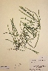  ( - H647585)  @11 [ ] Unspecified (default): All Rights Reserved  Unspecified Unspecified