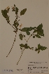  ( - H660437)  @11 [ ] Unspecified (default): All Rights Reserved  Unspecified Unspecified