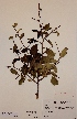  ( - H662003)  @11 [ ] Unspecified (default): All Rights Reserved  Unspecified Unspecified
