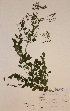  ( - H662461)  @11 [ ] Unspecified (default): All Rights Reserved  Unspecified Unspecified