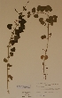 ( - H662785)  @11 [ ] Unspecified (default): All Rights Reserved  Unspecified Unspecified