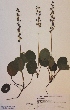  ( - H662999)  @11 [ ] Unspecified (default): All Rights Reserved  Unspecified Unspecified