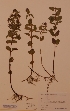  ( - H665301)  @11 [ ] Unspecified (default): All Rights Reserved  Unspecified Unspecified