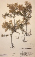  ( - H667745)  @11 [ ] Unspecified (default): All Rights Reserved  Unspecified Unspecified