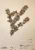  ( - H667749)  @11 [ ] Unspecified (default): All Rights Reserved  Unspecified Unspecified