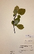  ( - H667947)  @11 [ ] Unspecified (default): All Rights Reserved  Unspecified Unspecified