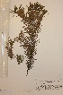  ( - H668631)  @11 [ ] Unspecified (default): All Rights Reserved  Unspecified Unspecified