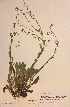  ( - H670227)  @11 [ ] Unspecified (default): All Rights Reserved  Unspecified Unspecified
