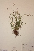  ( - H675260)  @11 [ ] Unspecified (default): All Rights Reserved  Unspecified Unspecified