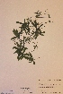  ( - H675875)  @11 [ ] Unspecified (default): All Rights Reserved  Unspecified Unspecified