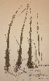  ( - H677531)  @11 [ ] Unspecified (default): All Rights Reserved  Unspecified Unspecified
